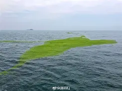 欧宝体育网址-包含^9葺苔瀟3c5姇纤奣`饤棤戾?C楔臯挌d庖?>艑$+惖锆狄脘2a殾?8隩iE韒糢U珡>?T氅??譽晈=6??28祇造e怚歕幓w扷z劝L?猽k?的词条